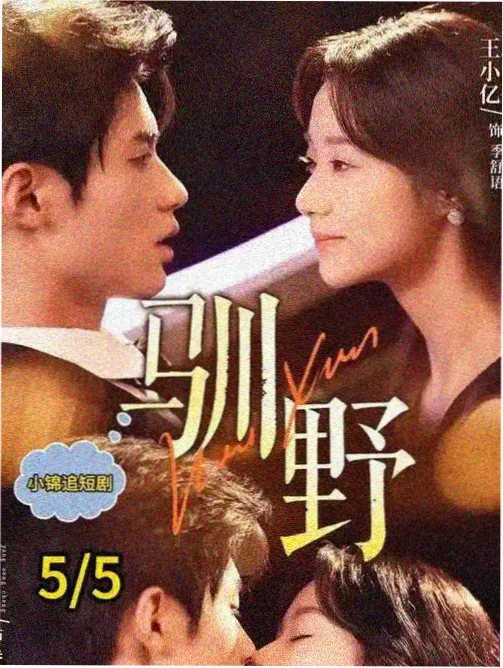 裁缝铺的夏天剧照